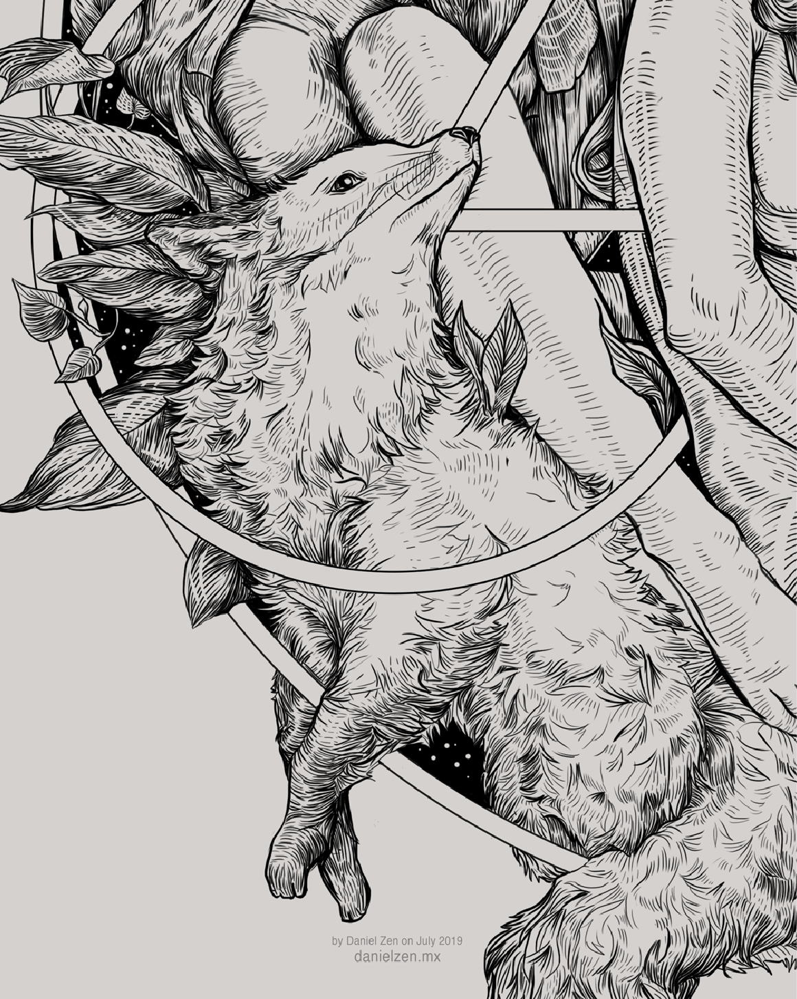 Lucian Portfolio Img