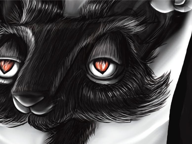 Lucian Portfolio Img
